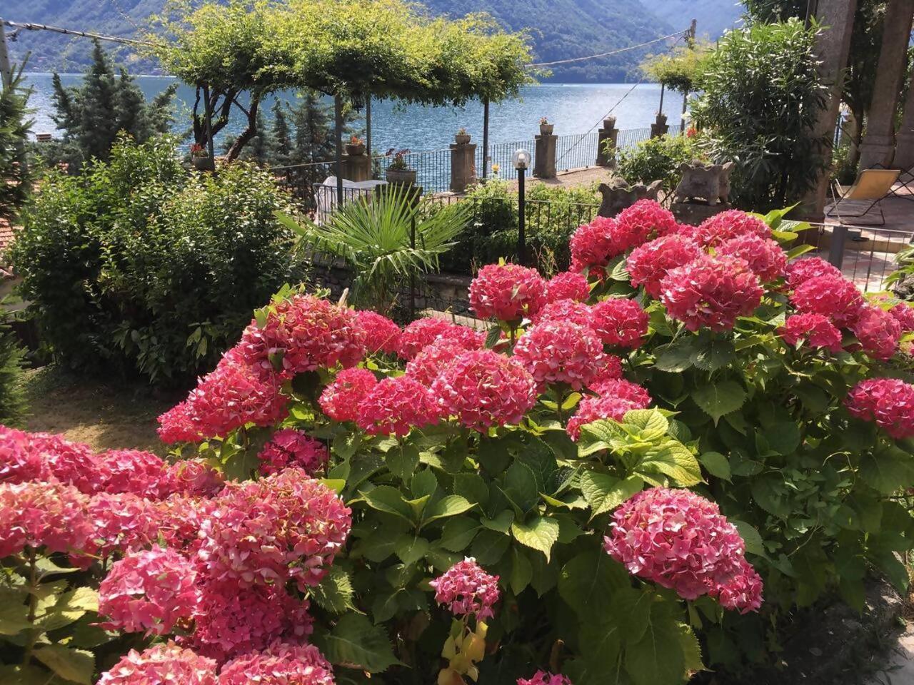 Villa Peroni Honeymoon Cottage アルジェーニョ エクステリア 写真